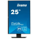 Monitor 25 cali XUB2595WSU-B5 IPS.PIVOT.16:10.USB.DP.HDMI.VGA.2x2W.  300(cd/m2).HAS(150mm) 