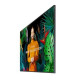 Monitor profesjonalny 75 cali QH75C LH75QHCEBGCXEN