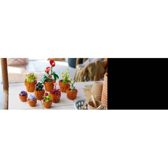 Klocki Botanicals 10329 Małe roślinki