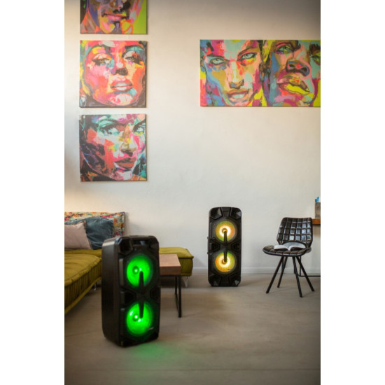 Głośnik APA20 system audio Bluetooth Karaoke