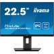 Monitor 22.5 cala XUB2395WSU-B5 IPS,PIVOT,1920x1200,DP,HDMI,VGA,16:10,2xUSB,2x2W,Freesync,HAS(150mm)