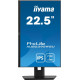Monitor 22.5 cala XUB2395WSU-B5 IPS,PIVOT,1920x1200,DP,HDMI,VGA,16:10,2xUSB,2x2W,Freesync,HAS(150mm)