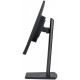 Monitor 23.8 cala ProLite XUB2492QSU-B1 IPS,QHD,USB-C,100Hz,3xUSB(3.2),HDMI,DP  300cd/m2,FreeSync,2x2W,HAS(150mm),PIVOT