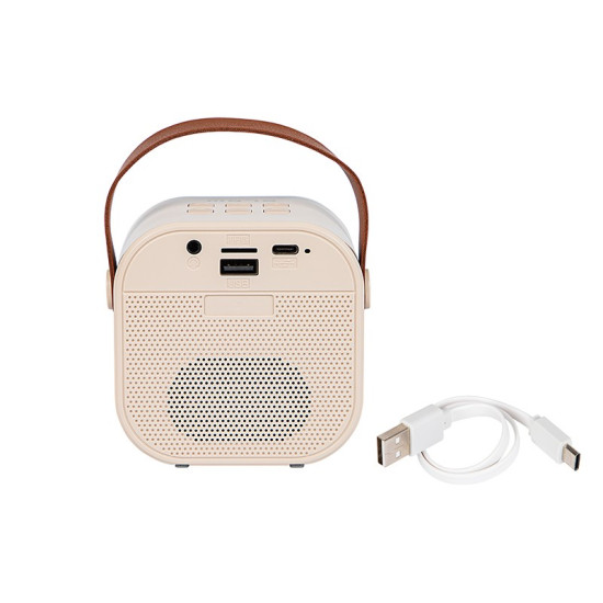 Głośnik Bluetooth Karaoke RGB 