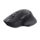 *OZAA+ MULTI-CONNECT bezprzewodowa mysz black 