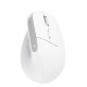 Mysz ergonomiczna BAYO+ Bezprzewodowa Biała 