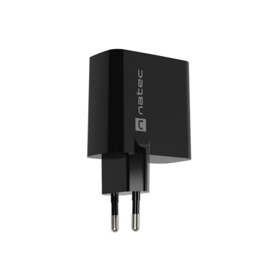 Ładowarka sieciowa Ribera GAN 1X USB-A + 1X USB-C 45W Czarna