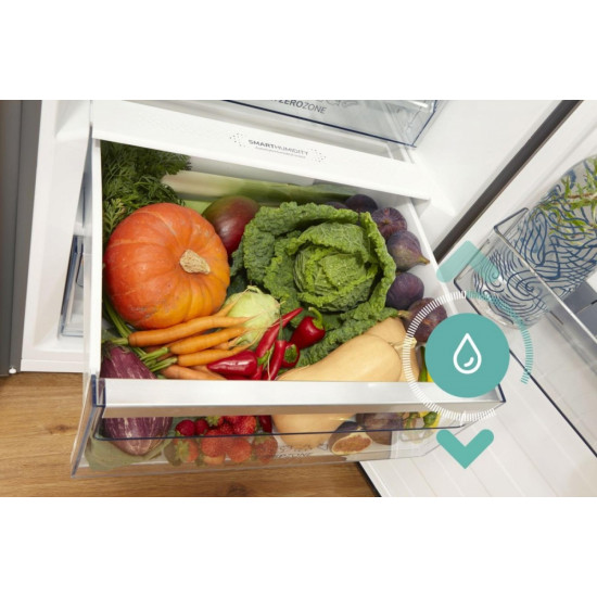 Chłodziarka R619EABK6