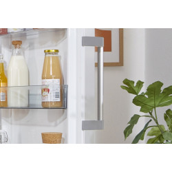 Chłodziarka R619EEW5