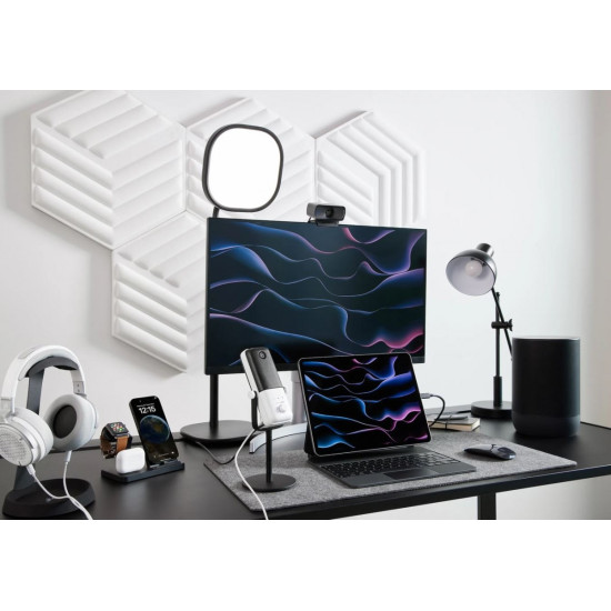 Kamera internetowa Facecam MK.2