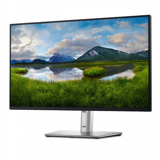 Monitor 24 cale P2425HE LED IPS 1920x1080/16:9/USBC/RJ45/HDMI/DP/USB/3Y 