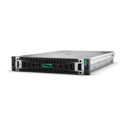 Serwer DL380 G11 4510 64G MR416i-p Svr P71675-425 