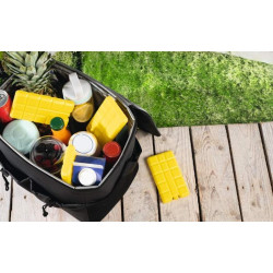 Wkład chłodzący do lodówki turystycznej 