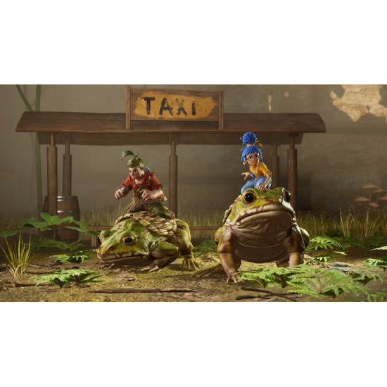 Gra PlayStation 4 It Takes Two