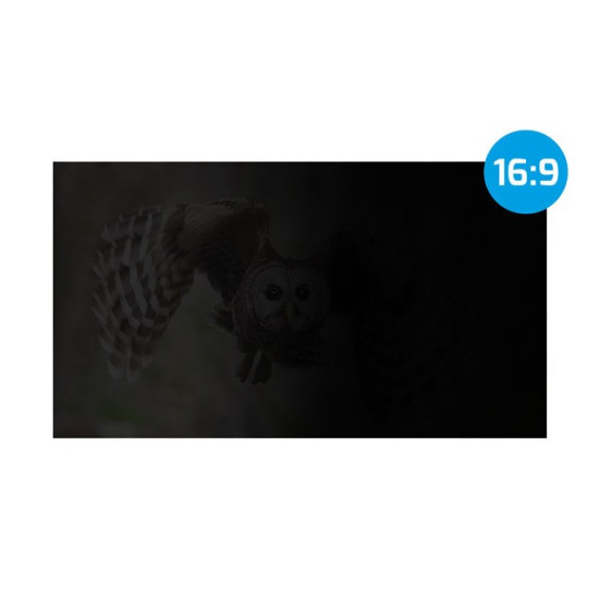 Filtr prywatyzujący RODO Owl 16 cali 16:10 