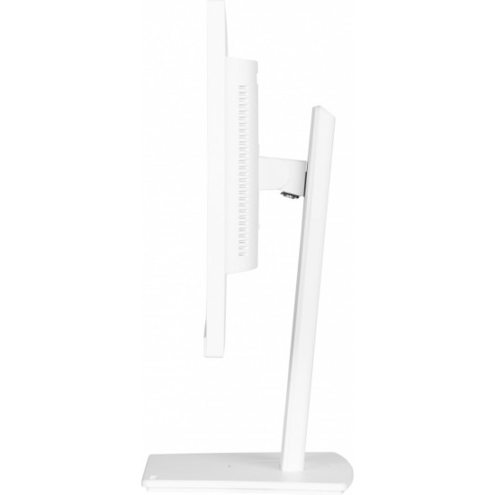 Monitor 24 cale XUB2497HSN-W2 IPS, USB-C Dock, HDMI, DP, 300cd, Pivot, HAS, biały