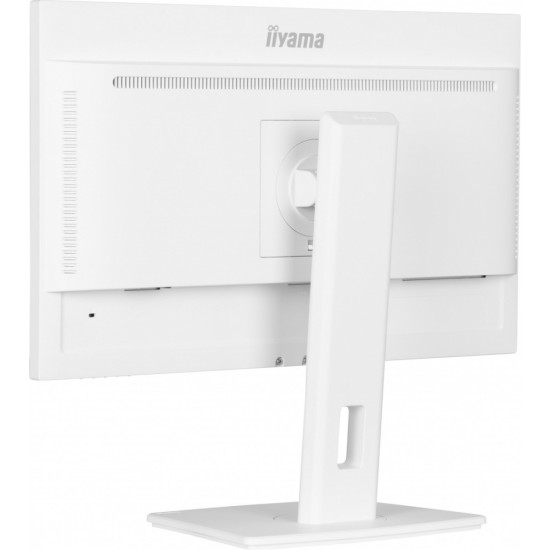 Monitor 24 cale XUB2497HSN-W2 IPS, USB-C Dock, HDMI, DP, 300cd, Pivot, HAS, biały
