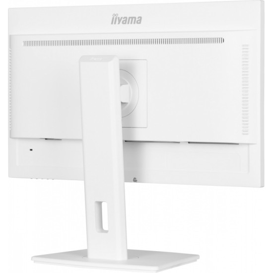 Monitor 24 cale XUB2497HSN-W2 IPS, USB-C Dock, HDMI, DP, 300cd, Pivot, HAS, biały