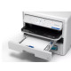 Drukarka EP-C800RDW kolor A4/34ppm/3.8pl/(W)LAN/PCL6 