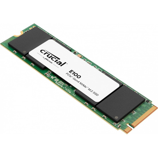 Dysk SSD E100 480GB M.2 NVMe 2280 PCIe 4.0 4700/2500 MB/s