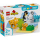 Klocki DUPLO 10442 Rodziny dzikich zwierząt: pingwiny i lwy 