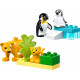 Klocki DUPLO 10442 Rodziny dzikich zwierząt: pingwiny i lwy 