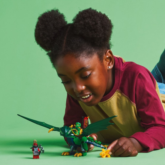 Klocki Ninjago 71829 Zielony leśny smok Lloyda 