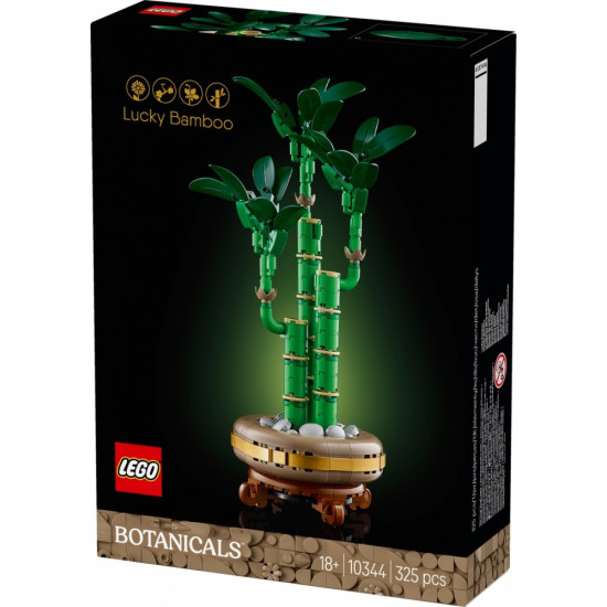 Klocki Botanicals 10344 Dracena sandera 