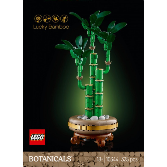 Klocki Botanicals 10344 Dracena sandera 