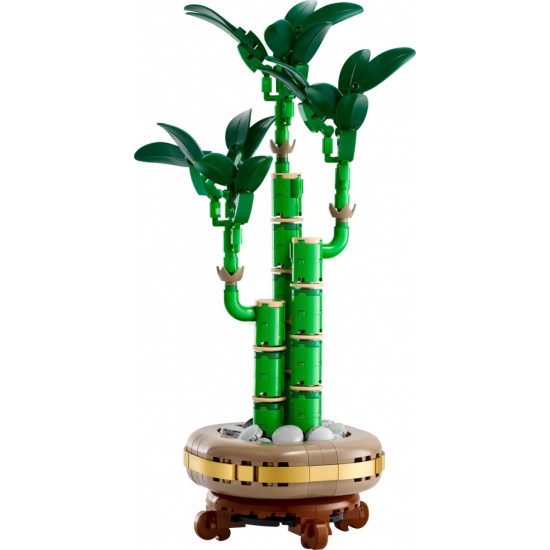 Klocki Botanicals 10344 Dracena sandera 