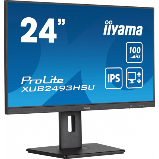 Monitor 24 cale XUB2493HSU-B7,IPS.HDMI.DP.2x2W.USBx2,300cd 