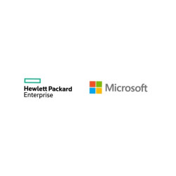ROK Microsoft Windows Server 2025 10 urządzeń CAL WW LTU P77115-B21