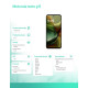 Smartfon moto g15 8/256GB Iguana Green