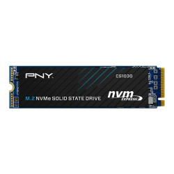 Dysk SSD 256GB CS1030 M.2 2280 PCIe BULK