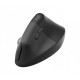 Mysz Lift dla Biznesu Grafitowa  910-006494 