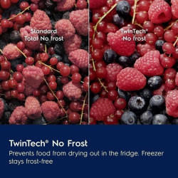 Chłodziarko-zamrażarka LNT6NE18S SMK