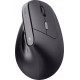 Mysz bezprzewodowa YVI TM-270 ERGONOMIC WIRELESS MOUSE 