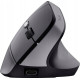 Mysz bezprzewodowa YVI TM-270 ERGONOMIC WIRELESS MOUSE 