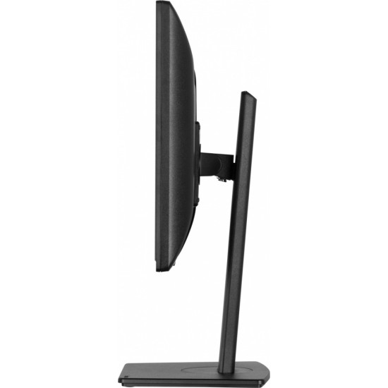 Monitor 19 cali B1980S-B1 HDMI,DP.PIVIOT,HAS/150mm 