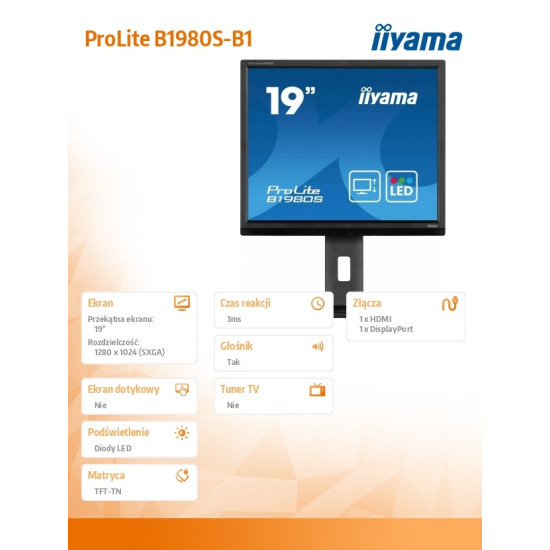 Monitor 19 cali B1980S-B1 HDMI,DP.PIVIOT,HAS/150mm 