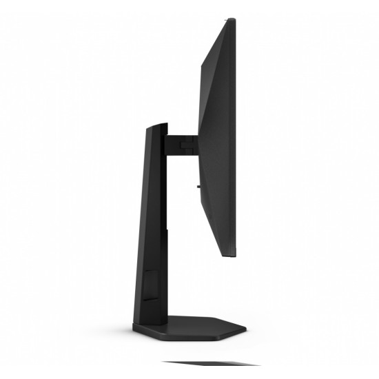 Monitor 25G4SXU 24.5 cala 300Hz Fast IPS HDMIx2 DP Pivot 