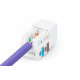 Moduł Keystone RJ45 kat.6 UTP LSA 