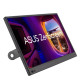 Monitor MB169CK 15.6 IPS USB-C FHD mHDMI 
