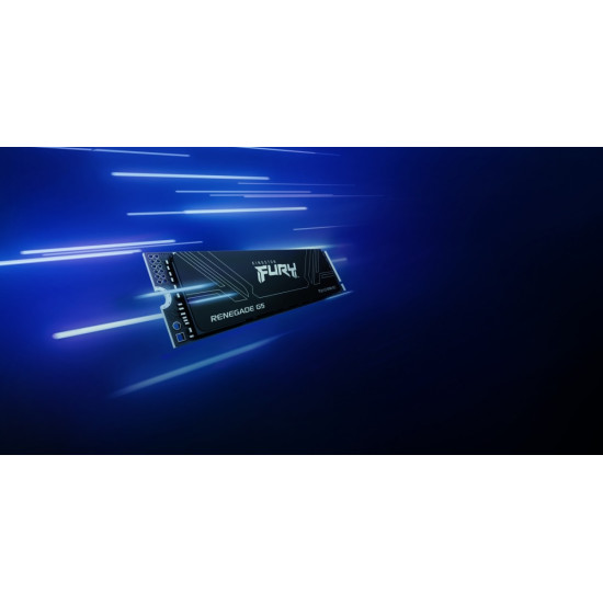 Dysk SSD Renegade G5 1TB NVMe 5.0 M.2 2280 14200/11000MB/s