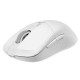 Mysz bezprzewodowa Versa 300 Wireless White 