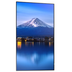 Monitor wielkoformatowy MultiSync P556 55 cali UHD 700cd/m2 24/7 