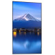 Monitor wielkoformatowy MultiSync P556 55 cali UHD 700cd/m2 24/7 