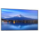 Monitor wielkoformatowy MultiSync P556 55 cali UHD 700cd/m2 24/7 