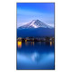 Monitor wielkoformatowy MultiSync P556 55 cali UHD 700cd/m2 24/7 