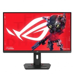 Monitor 27 cali XG279CNS ROG DP HDMI USB-C 0.3MS